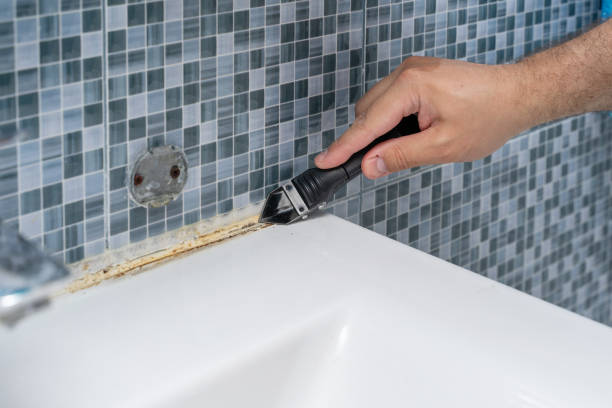 Best Toxic Mold Removal  in Parkville, MO