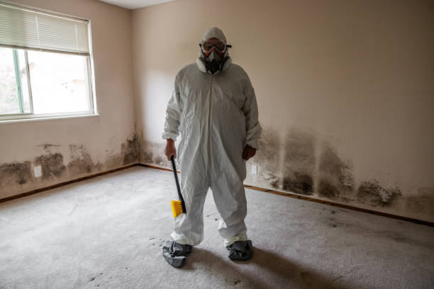 Best Mold Testing  in Parkville, MO